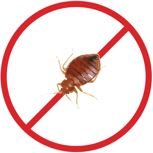 Groupe LM extermination INC photo 2