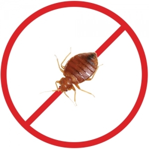 Groupe LM extermination INC photo 3